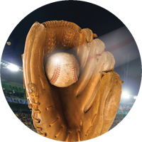Baseball- Glove Insert [TD-2537]