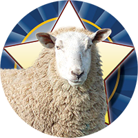 Sheep Insert [TD-3183]