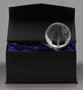 Crystal Globe Award [C211GLB]