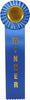 Winner Single Streamer Rosette Ribbon [R10R1-WIN]