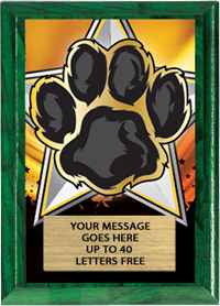 Full Color Plaques [PFCSTK5-MSCT]