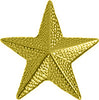 Star Chenille Pin- Gold [PCH-09G]