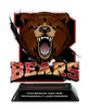 Bears Mascot Colorix-T Acrylic Trophy [TACR6-MSCT-BEAR-Q]