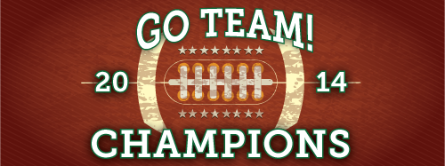 Football 3 x 8 Vinyl Banner- Ball [VB-FB-BAL-38]