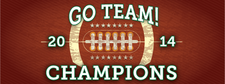 Football 3 x 8 Vinyl Banner- Ball [VB-FB-BAL-38]