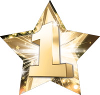 1st Place Star Insert [ST-4102]