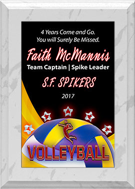 Volleyball ColorPlate Plaques