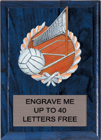 Volleyball Millennium Color Plaques