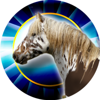 Horses- Appaloosa Horse Insert [TD-2218]