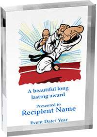 Martial Arts Vibrix Acrylic Award [ACB57V-MA]