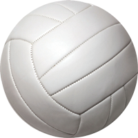 Volleyball Insert [P78N-144]