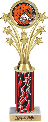 Shooting Stars Color Insert Trophy w/ Column [Ti12-J58]