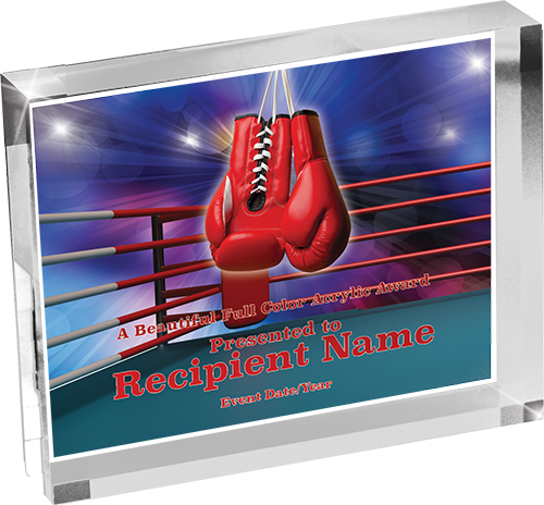 Boxing Horizontal Vibrix Acrylic Award [A43BH-BX]