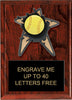Softball Spring Loaded Plaque [PRBI68-SB]