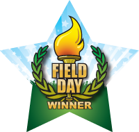 Field Day- Winner Torch Star Insert [ST-1411]
