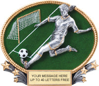 Soccer 3D Full Color Oval Resin Trophy- Female [R3DOM7-SCF]
