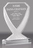Diamond Vase Acrylic Award- Frosted 9 inch [ADVS-FST-9]