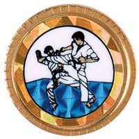 Sport Pins- Martial Arts [APIN-MA]