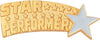 Star Performer Gold Pin [PCM-STR-278]