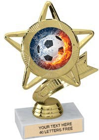 Star & Pennant Color Insert Trophy [Ti-P43]