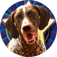 Dogs- German Shorthair Pointer Insert [TD-2532]