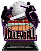 Volleyball Colorix-T Acrylic Trophy [TACR6-VB-Q]