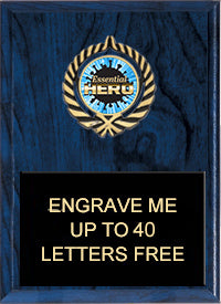 Insert Plaque - 8 x 10 inch [P324-1]