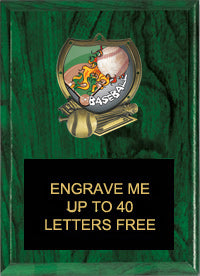 Baseball Sport Shield Plaque [PSHLD68-BS-6-x-8]