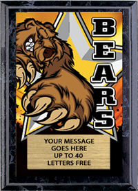 Full Color Plaques [PFCSTK5-MSCT]