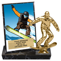 Snowboarding Billboard Plaque [PBB6-SNWBRD]