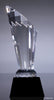 Spotlight Crystal Award on Black Base [CM311-9]
