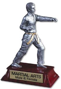 Martial Arts Signature Series Resin Trophy - Male [SSR6-MAM]