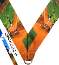 7/8 x 30 in. Baseball Sublimated Neck Ribbon [NKRB-4021]