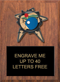 Resin Star Insert Plaque [PRBI79i]