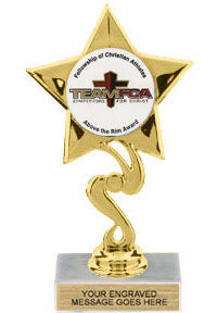 Star Custom Insert Trophy [TXi-J06]