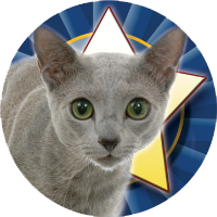 Cats-Blue Russian Cat Insert [TD-1050]