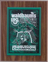 Laser Engraved Plaque - 9x12 inch [P316]