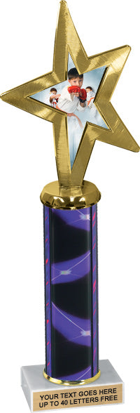 Exclusive Star Insert Column Trophy [TWS13]