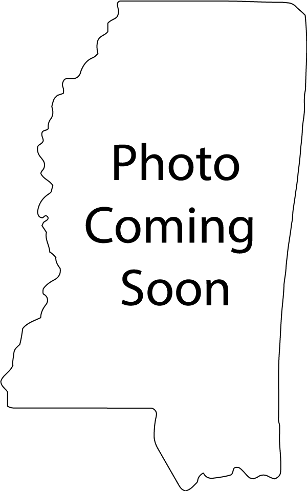 Mississippi Paperweight Acrylic Award - 5 x 3 [ASTT-MS-Q]