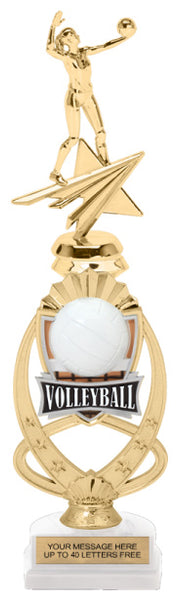 Volleyball Meridian Sport Riser Trophy [TMMSR14-VB] – Trophy Depot