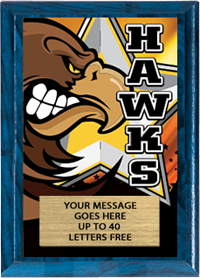 Full Color Plaques [PFCSTK5-MSCT]