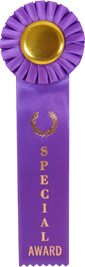 Special Award Single Streamer Rosette Ribbon [R10R1-SPCLAWD]