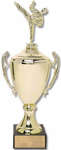 Gold Metal Championship Cup [C1-DL]