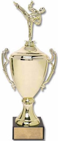 Gold Metal Championship Cup [C1-DL]