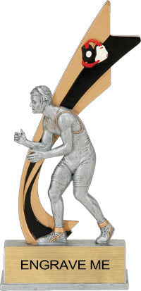 Wrestling Painted Banner - 8" Resin Trophy [RPBT-WS]