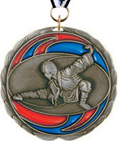 Martial Arts Epoxy Color Medal - Silver [MEC2-MA-S]
