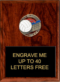 8"x10" Volleyball Dimensional Color Plaque [PEM8-VB]