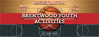 Basketball 3 x 8 Vinyl Banner- Court [VB-BK-CRT-38]