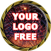 3D Dome Custom Insert Coin [CN6DSBA158]