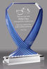 Diamond Vase Acrylic Award - Blue 10 inch [ADVS-BLU-10]